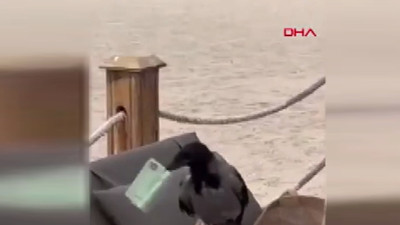 Kargadan gülümseten hırsızlık: Turistin çantasından 100 euro kaptı