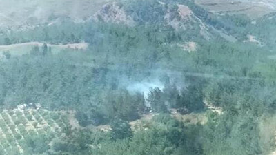 Manisa'da orman yangını çıktı