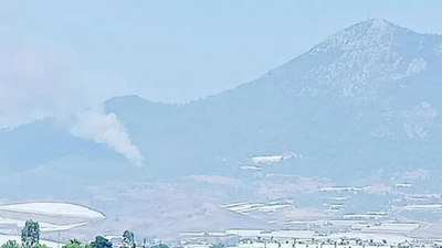 Mersin'de orman yangını