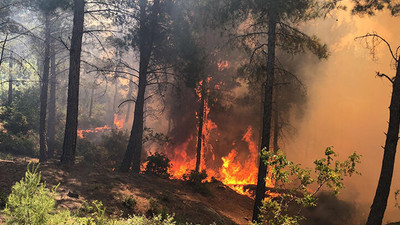 OGM'den kritik orman yangını uyarısı
