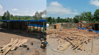 Selde 56 köpeğin ölümüne neden olan ruhsatsız barınak yıkıldı: Sahibi hakkında karar