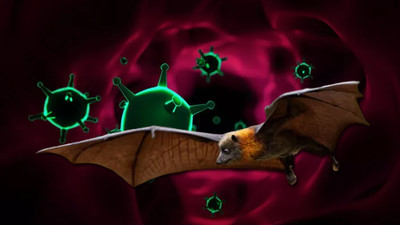 Tedavisi olmayan hastalık 2 can aldı