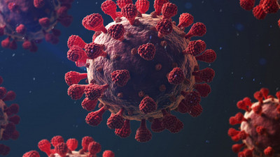 TTB’den Maymun Çiçeği uyarısı