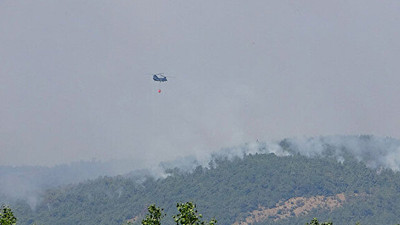 Yunanistan'daki yangın Türkiye sınırına yaklaştı 