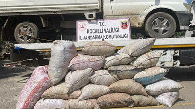 3 çocuk 1 ton fındığı çalarken suç üstü yakalandı