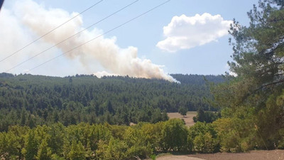 Bursa'da orman yangını 