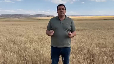 CHP'li Karasu'dan TMO'ya kritik 'buğday' çağrısı