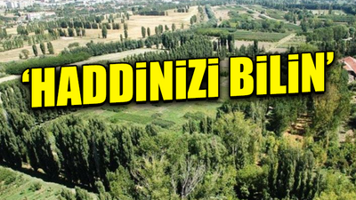 Gazeteci Uğuroğlu’ndan 'Atatürk Orman Çiftliği' arazisinin ihaleye açılmasına tepki