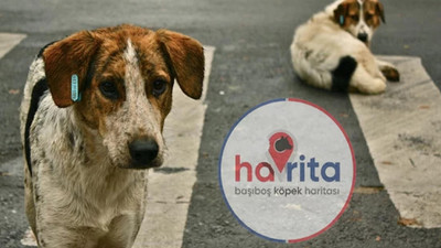 Havrita hakkında flaş gelişme