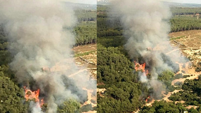 İzmir'de orman yangını