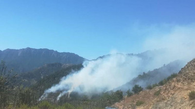 Kahramanmaraş’ta orman yangını çıktı