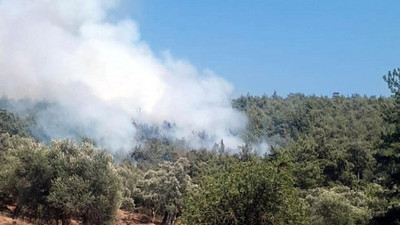 Orman yangını hazırlığındaki PKK’lı yakalandı