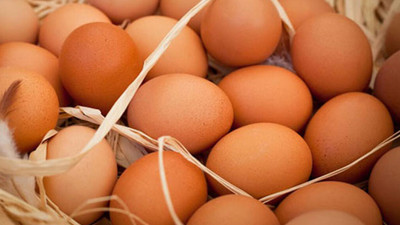 Tavuk yumurtası üretiminde düşüş