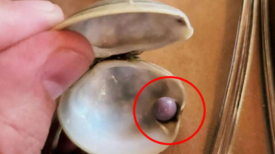 Yemeğinden öyle bir şey çıktı ki... Önce iade etmek istedi, değerini öğrenince şoke oldu