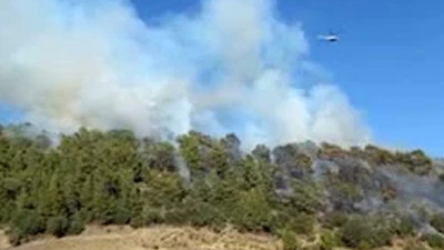 Antalya'da orman yangını