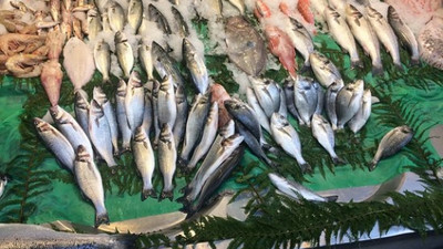 Balık fiyatlarında yüzde yüz artış