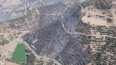 İzmir'deki orman yangını kontrol altına alındı: 3 hektarlık alan kül oldu