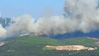 Manisa'da orman yangını: 2 mahalle tahliye edildi