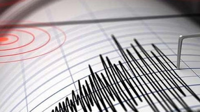 Muğla'da korkutan deprem