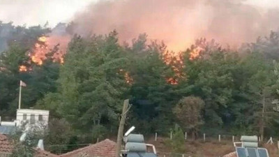 Muğla'daki orman yangınının nedeni ortaya çıktı: Gözaltına alınan 1 kişi serbest bırakıldı