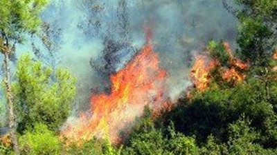 Muğla Milas'taki orman yangını kontrol altına alındı