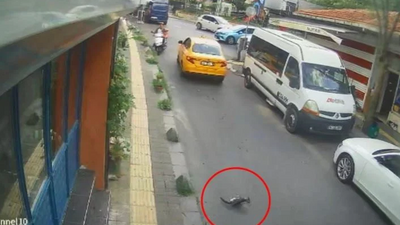 Sarıyer'de taksi şoförü yavru kediyi ezip kaçtı!
