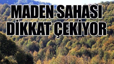 3.5 milyon metrekare alan Erdoğan'ın imzasıyla orman sınırı dışına çıkartıldı