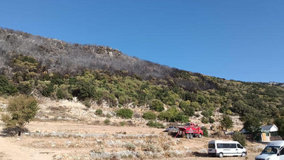 Antalya'da 10 hektar alan kül oldu