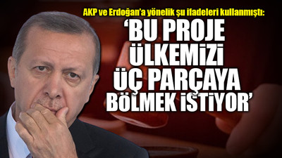 Mahkeme kararını verdi: Erdoğan'a 'BOP eş başkanı' demek suç mu?