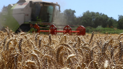 TMO’dan 470 bin tonluk buğday ithalatı