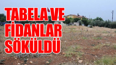AKP’li müteahhit şehit ormanına göz dikti: Adım adım işgal...