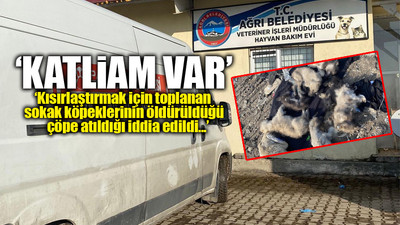 AKP'li Ağrı Belediyesi'nin hayvan barınağından korkunç görüntüler