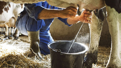 Et ve süt ürünlerinde kriz derinleşecek
