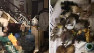 Muğla'da bir evden çok sayıda kedi köpek ölüsü çıktı