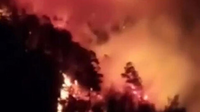 Antalya'da orman yangını: 2 mahalle tahliye edildi