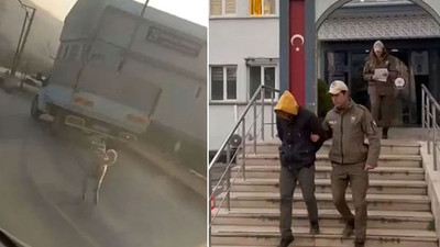 Bursa'da köpeğe eziyet eden kişi gözaltına alındı