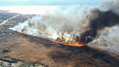 İznik'teki göl kıyısında yangın