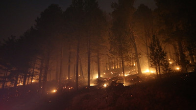 Kaz Dağları'nda yangın: Ekipler kontol altına almaya çalışıyor