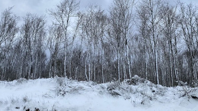 İzmir'de kar esareti: AFAD mahsur kalan 5 kişiyi arıyor