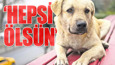 MHP'li başkandan sokak hayvanları için skandal sözler