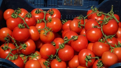 Bakanlıktan domates ihracatına kısıtlama