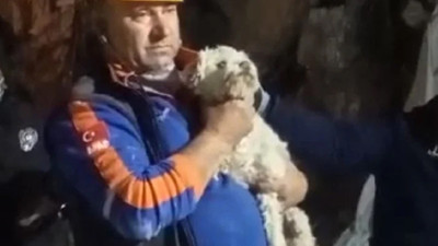 Enkaz altında kalan köpek 25 gün sonra kurtarıldı