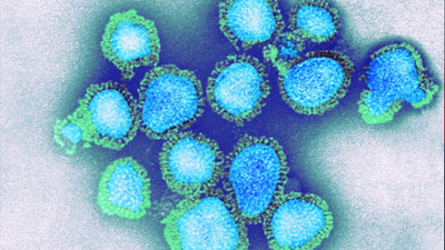 Hindistan'da 'H3N2' virüsü nedeniyle ilk ölümler kaydedildi