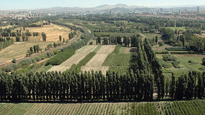 Yargıdan Atatürk Orman Çiftliği kararı
