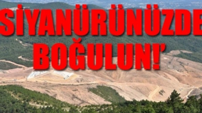 Ünlülerden 'Kaz dağı katliamı'na büyük tepki