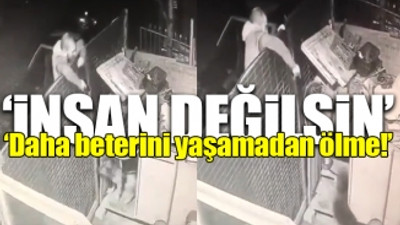 Başakşehir'de bir cani, kulübede duran köpeğe ateş ederek öldürdü