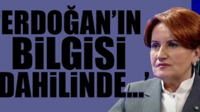 Meral Akşener'den çok konuşulacak Bülent Arınç, Erdoğan iddiası