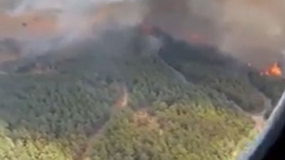 Bodrum'daki yangın Fesleğen yaylasına ulaştı: İşte o görüntüler...