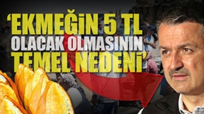 Çiftçinin 'DEDAŞ' çilesi Bakan Pakdemirli'ye soruldu: Tek cümlelik cevap