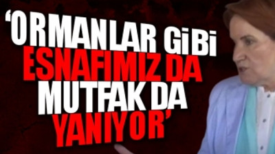 Meral Akşener'den ‘yangın varken geziyorsunuz’ tepkisine çarpıcı yanıt